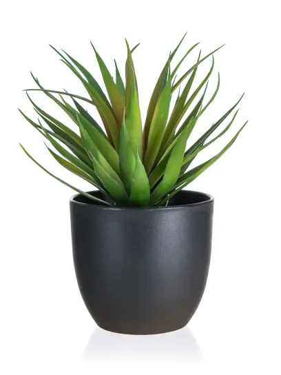 Mečík v plast.květ.19cm zel.