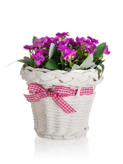 Květina v rat.koš. 14cm fial