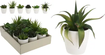 květina umělá SUKULENT v květníku pr.10cm, v.15cm, mix druhů