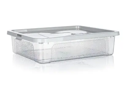 box úložný MULTIBOX 10l, 40x33x10cm, víko, klip, PH