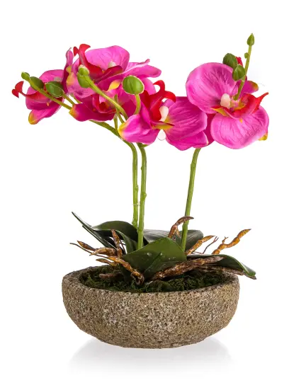 fuchsie v bet.květ.21,5x14cm