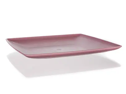 talíř dez.CUL.19x19cm  ras