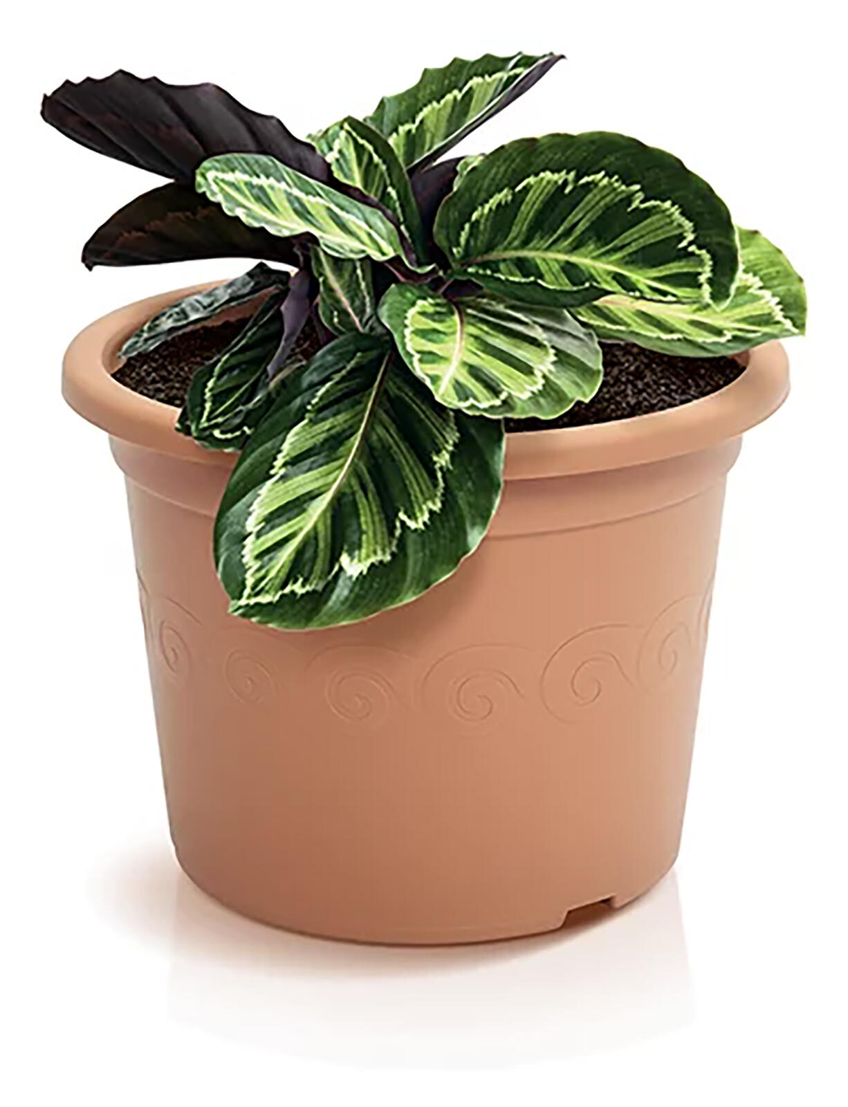 květináč PLASTICA 15 v.11,2cm TE (R624) 0.06 Kg MTA MAXMIX Sklad14 344506