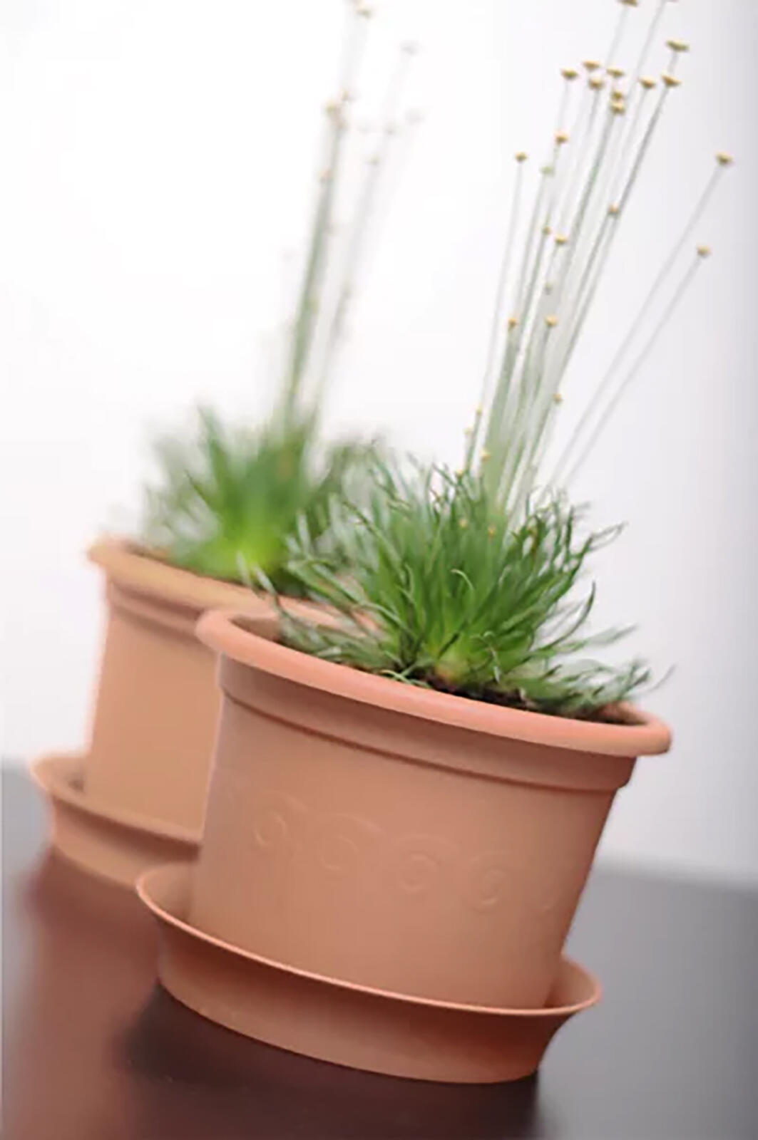 květináč PLASTICA 15 v.11,2cm TE (R624) 0.06 Kg MTA MAXMIX Sklad14 344506