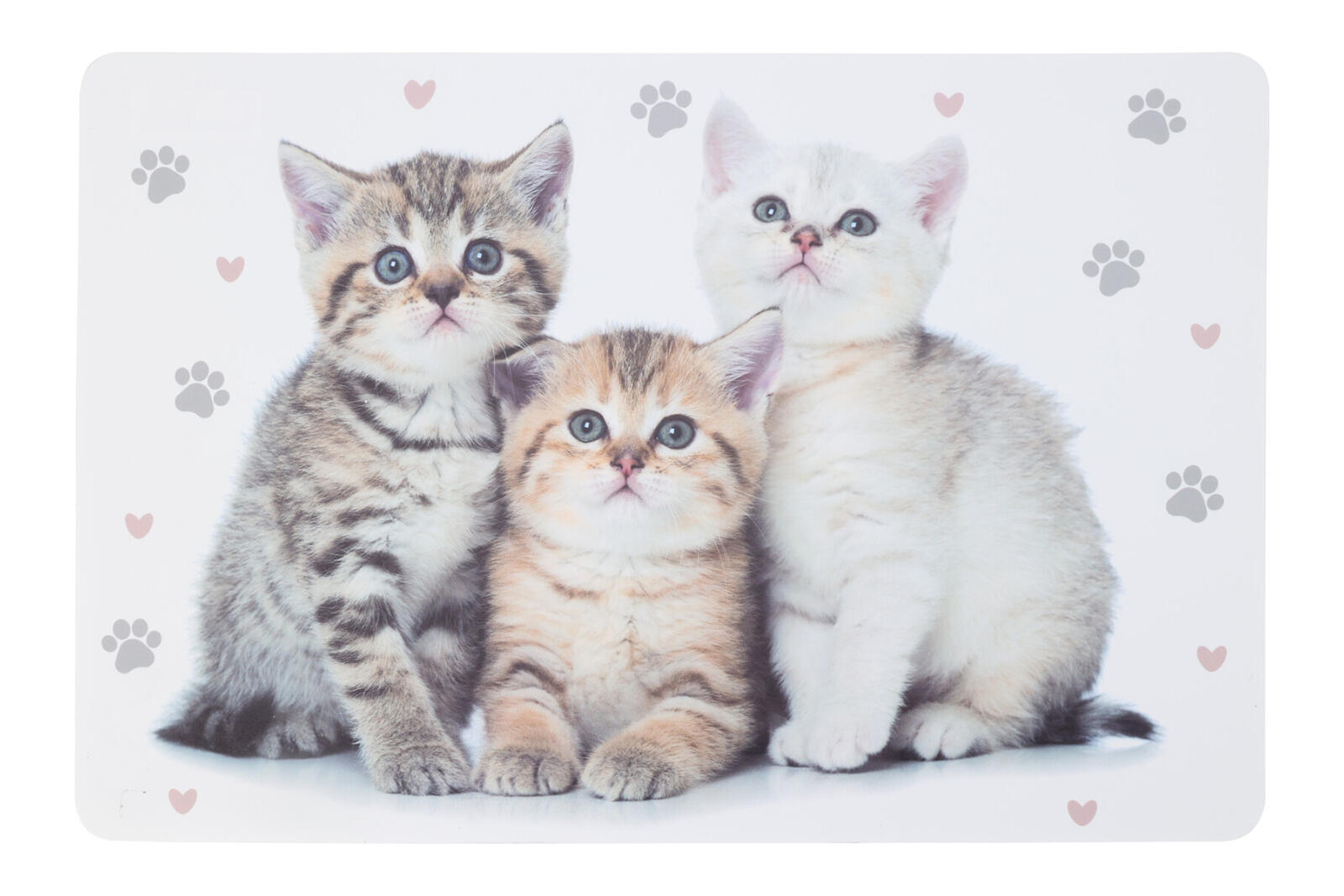 prostírání PH ZVÍŘATA 43,5x28,5cm 4 dekory, mix 0.05 Kg MTA MAXMIX Sklad14 386031