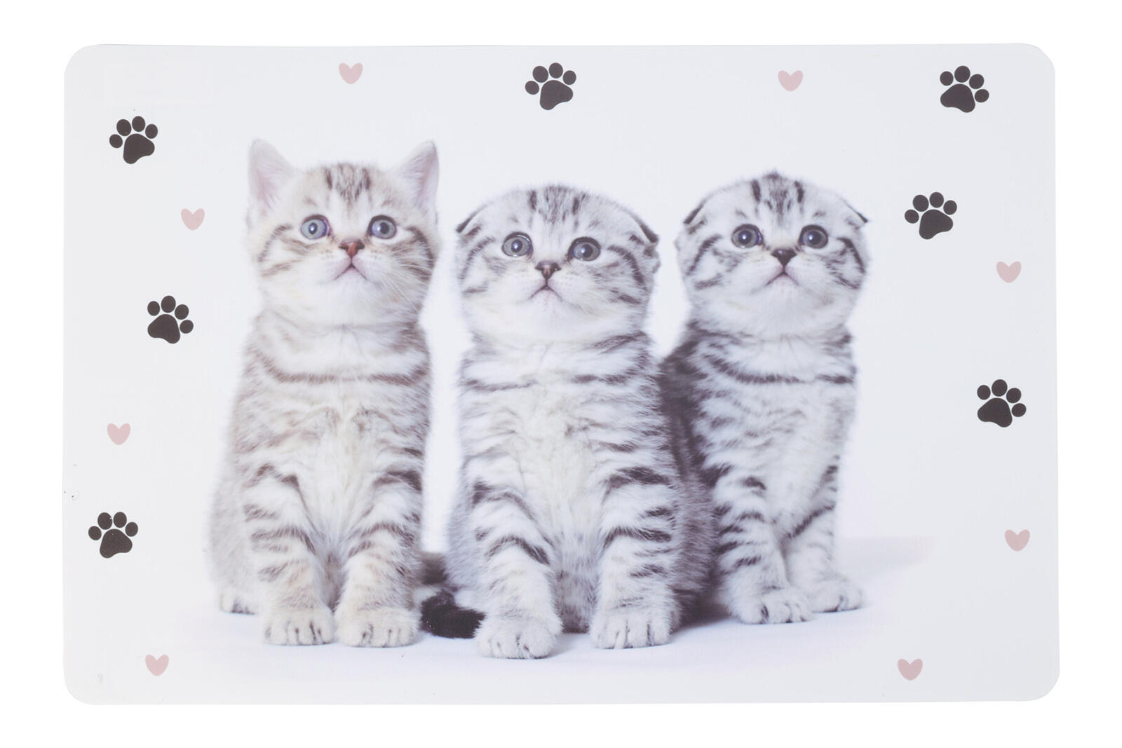 prostírání PH ZVÍŘATA 43,5x28,5cm 4 dekory, mix 0.05 Kg MTA MAXMIX Sklad14 386031