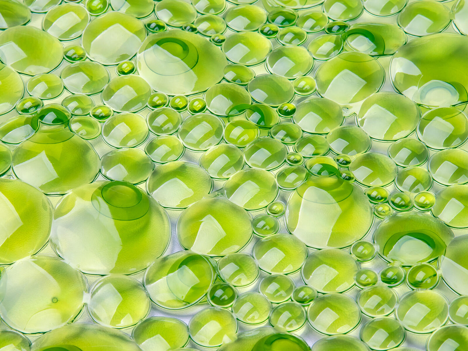 podložka do vany MERMAID 64x34cm ZE TRA 0.33 Kg MTA MAXMIX Sklad14 267564