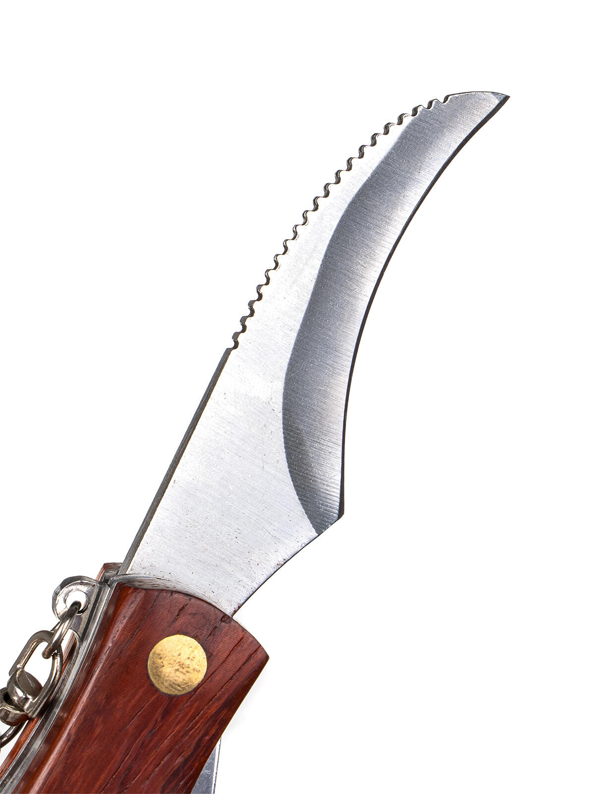 nůž na houby AKCENT 7cm, se štětečkem, dřev.rukojeť 0.1 Kg MTA MAXMIX Sklad14 287567